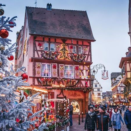 Le Rosacker - Proche Centre Ville Et Gare - Terrasse - Parking Gratuit 2 Places - 2 Chambres - 2 Salles De Bain - Netflix Colmar Eksteriør billede