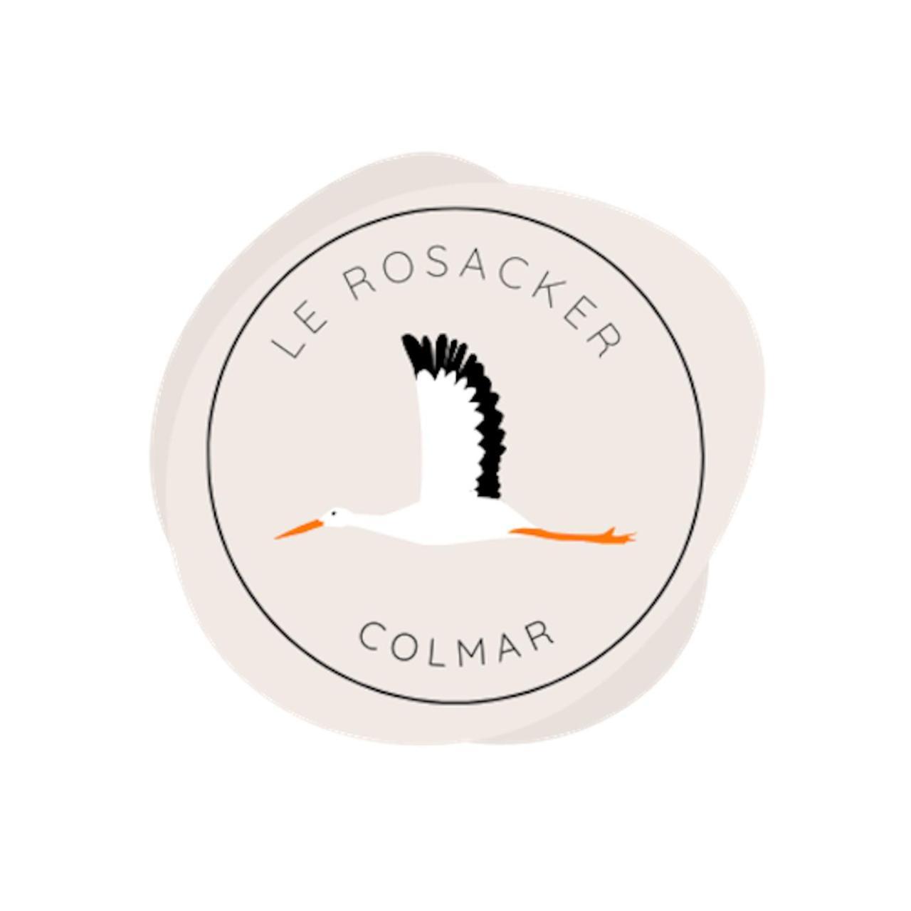 Le Rosacker - Proche Centre Ville Et Gare - Terrasse - Parking Gratuit 2 Places - 2 Chambres - 2 Salles De Bain - Netflix Colmar Eksteriør billede