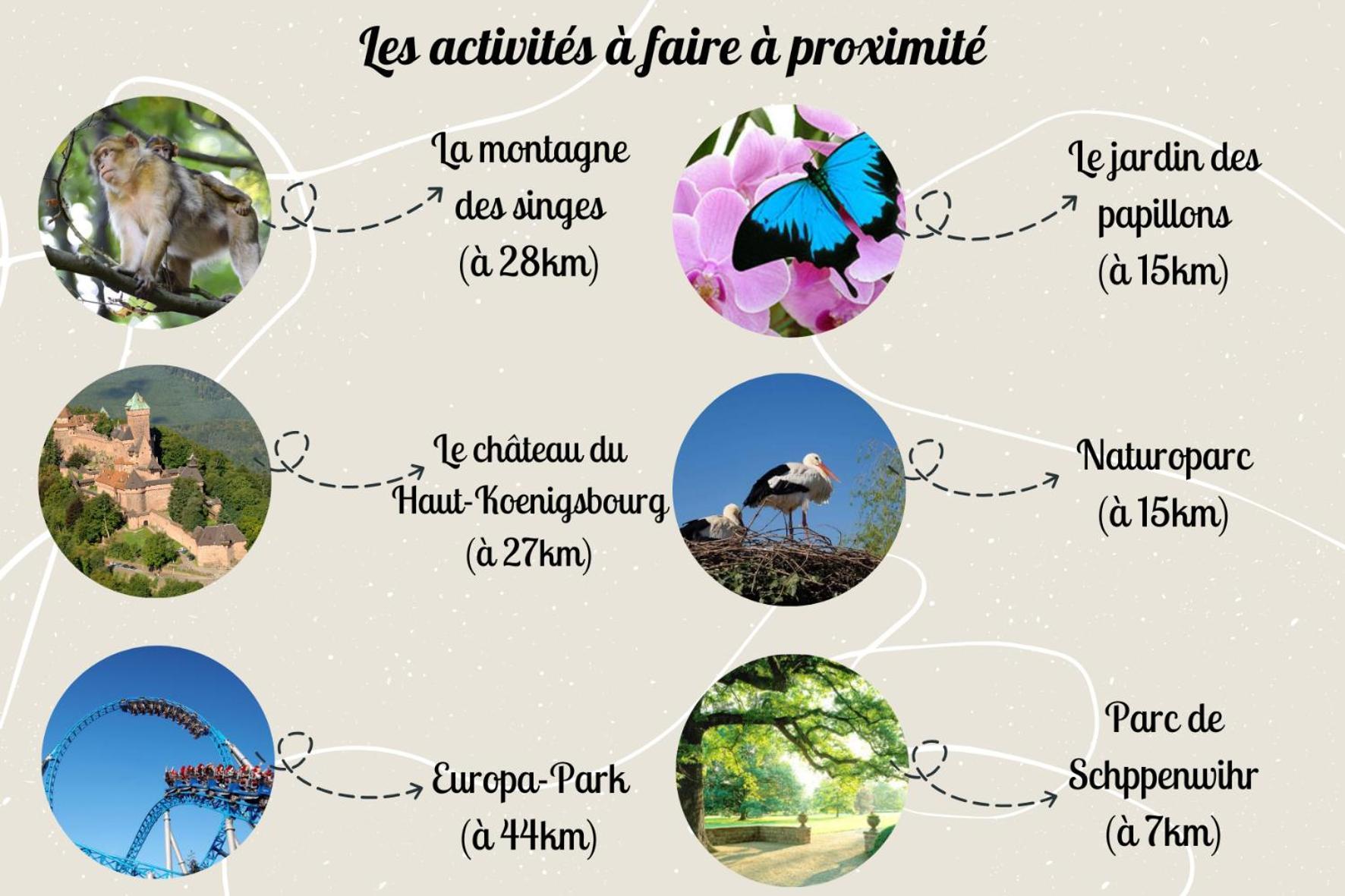 Le Rosacker - Proche Centre Ville Et Gare - Terrasse - Parking Gratuit 2 Places - 2 Chambres - 2 Salles De Bain - Netflix Colmar Eksteriør billede